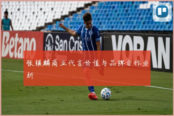 张镇麟商业代言价值与品牌合作分析