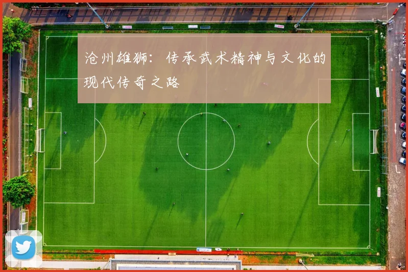 沧州雄狮：传承武术精神与文化的现代传奇之路