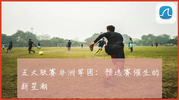 五大联赛非洲军团：预选赛催生的新星潮