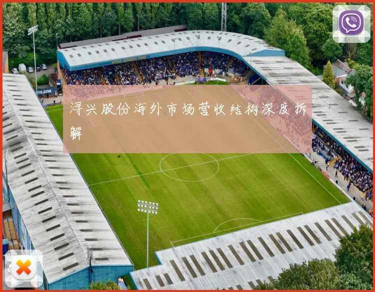 浔兴股份海外市场营收结构深度拆解