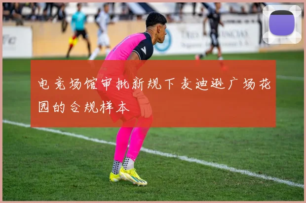电竞场馆审批新规下麦迪逊广场花园的合规样本