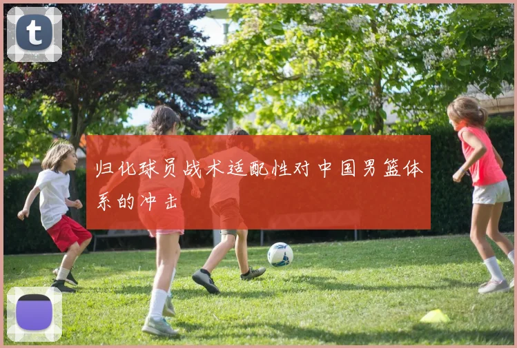 归化球员战术适配性对中国男篮体系的冲击