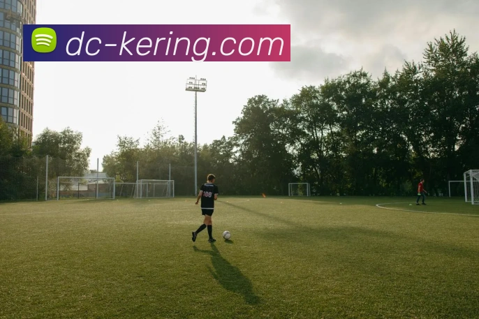 开云平台生态图